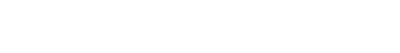 light logo